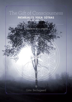 The Gift of Consciousness: Patanjali's Yoga Sutras (Book One: Samadhi Pada) image number 0