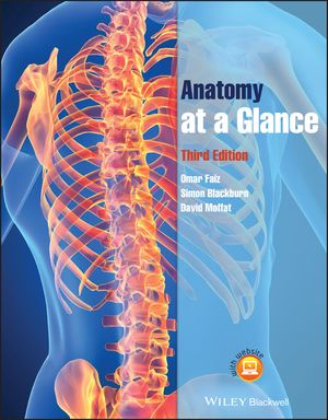 Anatomy at a Glance image number 0