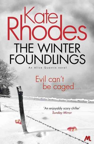 The Winter Foundlings image number 0