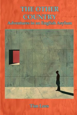 The Other Country: Adventures In An English Asylum image number 0