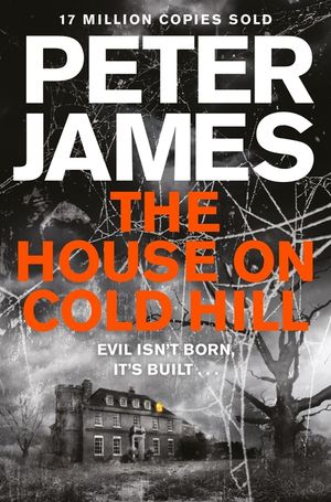 The House on Cold Hill image number 0