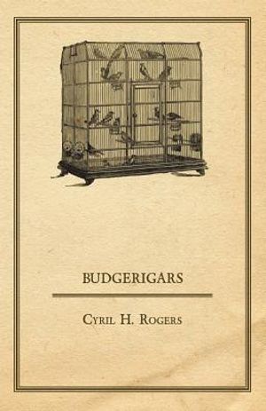 Budgerigars image number 0