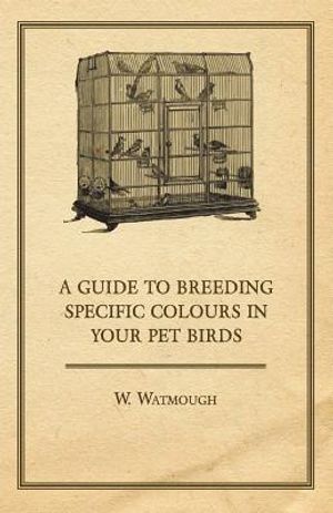 A Guide to Breeding Specific Colours in Your Pet Birds image number 0