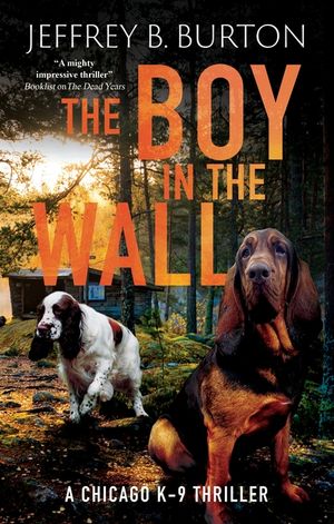 The Boy in the Wall image number 0