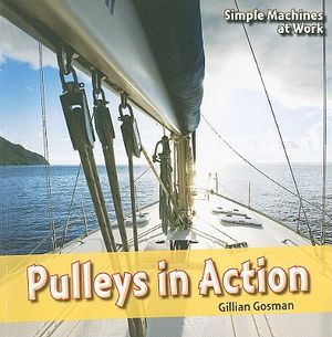 Pulleys in Action image number 0