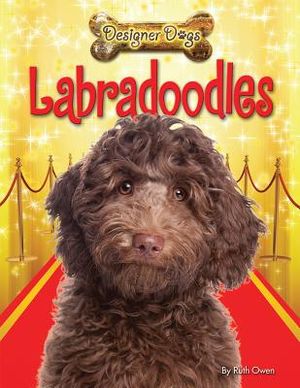 Labradoodles image number 0
