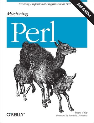 Mastering Perl: Creating Professional Programs with Perl image number 0