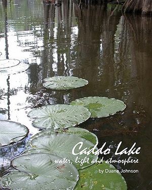 Caddo Lake: water, light and atmosphere image number 0