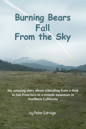 Burning Bears Fall From the Sky: My amusing story about relocating from a desk in San Francisco to a remote mountain in Northern California image number 0