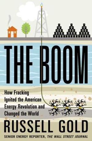 The Boom: How Fracking Ignited the American Energy Revolution and Changed the World image number 0