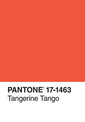 Pantone Tangerine Tango Color of the Year Journal image number 0