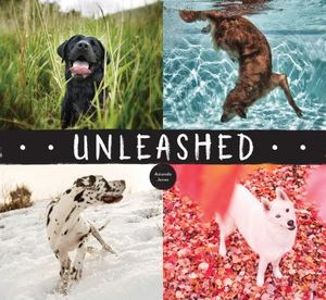 Unleashed image number 0