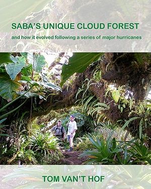 Saba's Unique Cloud Forest: and how it evolved during a series of major hurricanes image number 0
