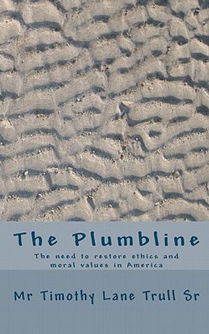 The Plumbline: The need to restore ethics and moral values in America image number 0