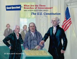 What Are the Three Branches of the Government?: And Other Questions about the U.S. Constitution image number 0