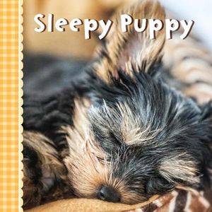 Sleepy Puppy image number 0