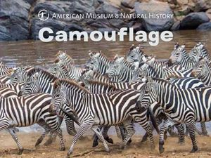 Camouflage image number 0