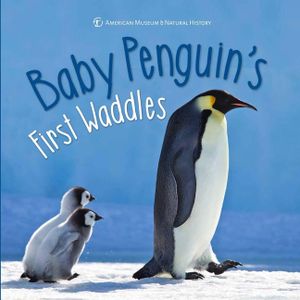 Baby Penguin's First Waddles image number 0