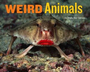 Weird Animals image number 0