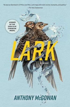 Lark image number 0