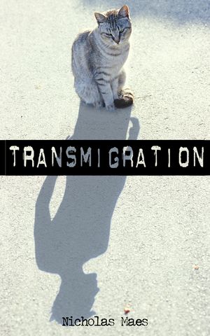 Transmigration image number 0