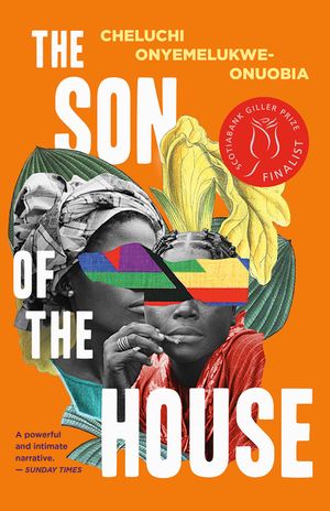 The Son of the House image number 0