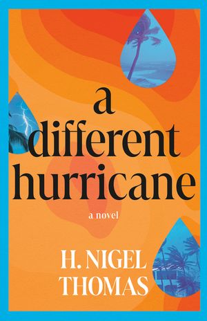 A Different Hurricane image number 0