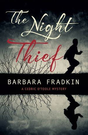 The Night Thief image number 0