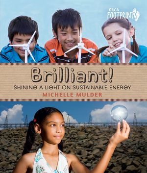 Brilliant!: Shining a Light on Sustainable Energy image number 0
