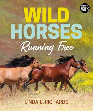 Wild Horses: Running Free image number 0