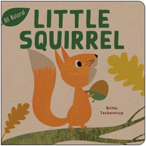 Little Squirrel image number 0
