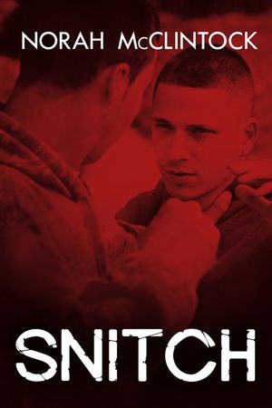 Snitch image number 0