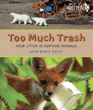 Too Much Trash: How Litter Is Hurting Animals image number 0