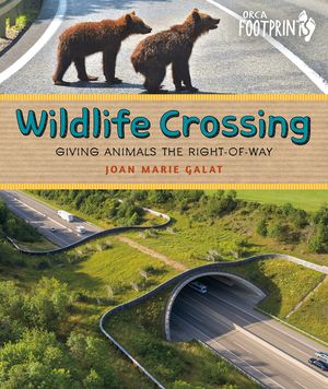 Wildlife Crossing: Giving Animals the Right of Way image number 0