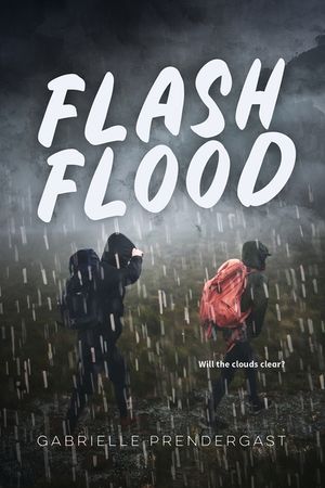 Flash Flood image number 0
