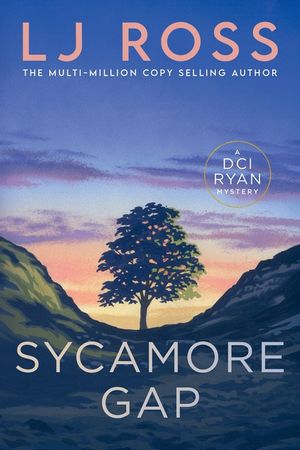 Sycamore Gap image number 0