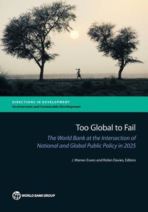 Too Global to Fail: The World Bank at the Intersection of National and Global Public Policy in 2025 image number 0