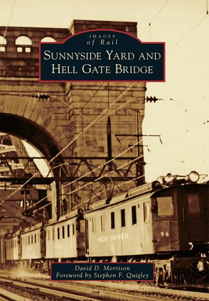 Sunnyside Yard and Hell Gate Bridge image number 0