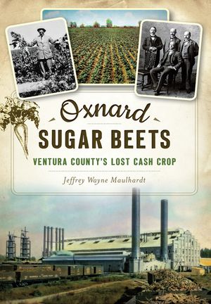 Oxnard Sugar Beets: Ventura County's Lost Cash Crop image number 0