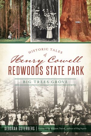 Historic Tales of Henry Cowell Redwoods State Park: Big Trees Grove image number 0