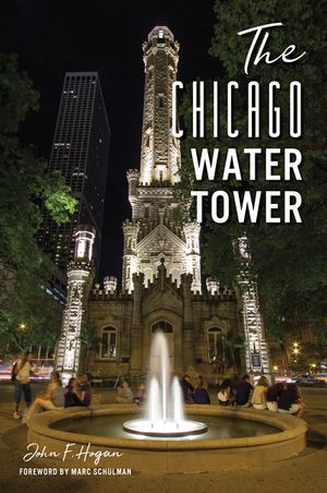 The Chicago Water Tower image number 0