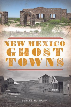 New Mexico Ghost Towns image number 0