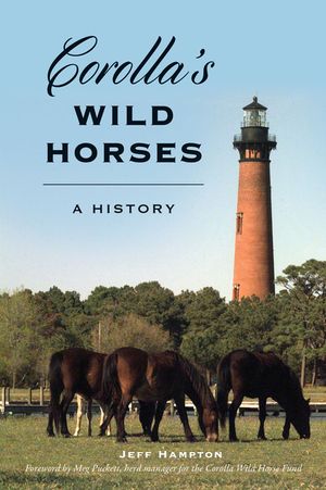 Corolla's Wild Horses: A History image number 0