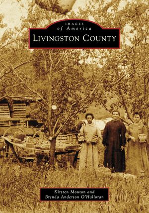 Livingston County image number 0