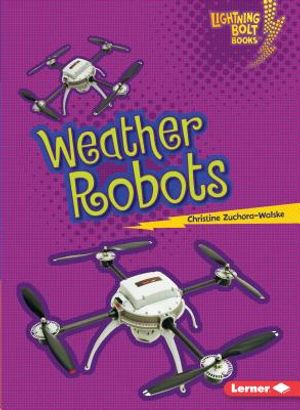 Weather Robots image number 0