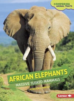 African Elephants: Massive Tusked Mammals image number 0