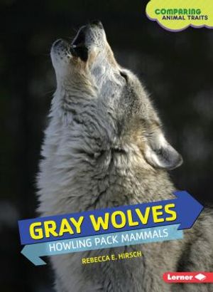 Gray Wolves: Howling Pack Mammals image number 0