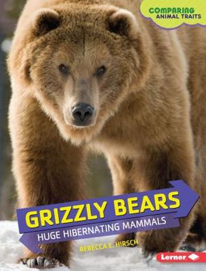 Grizzly Bears: Huge Hibernating Mammals image number 0