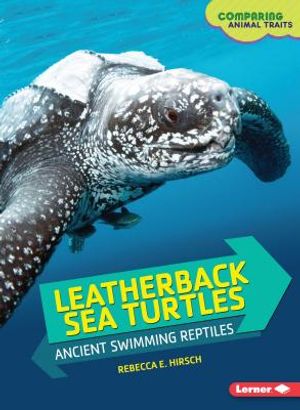 Leatherback Sea Turtles: Ancient Swimming Reptiles image number 0