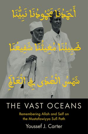 The Vast Oceans: Remembering Allah and Self on the Mustafawiyya Sufi Path image number 0